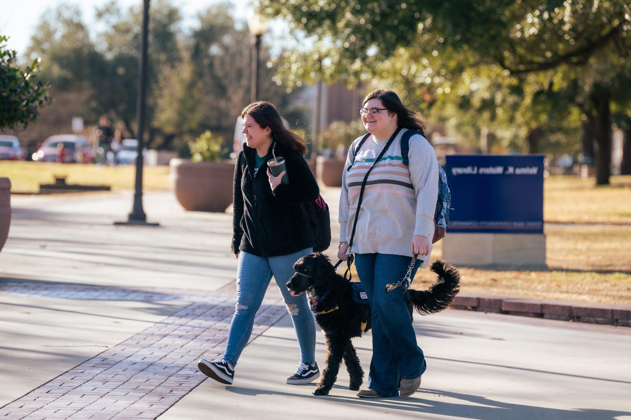 两个女学生和一个带着服务犬的人走在一起.